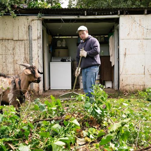 Man doing yard work near a shed while a goat stands nearby.