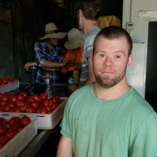Man standing beside crates of tomatoes in a packing area, with others working in the background.