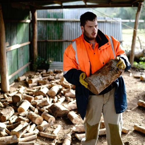 Man in a high-visibility jacket lifting a log in a shed filled with stacked wood.